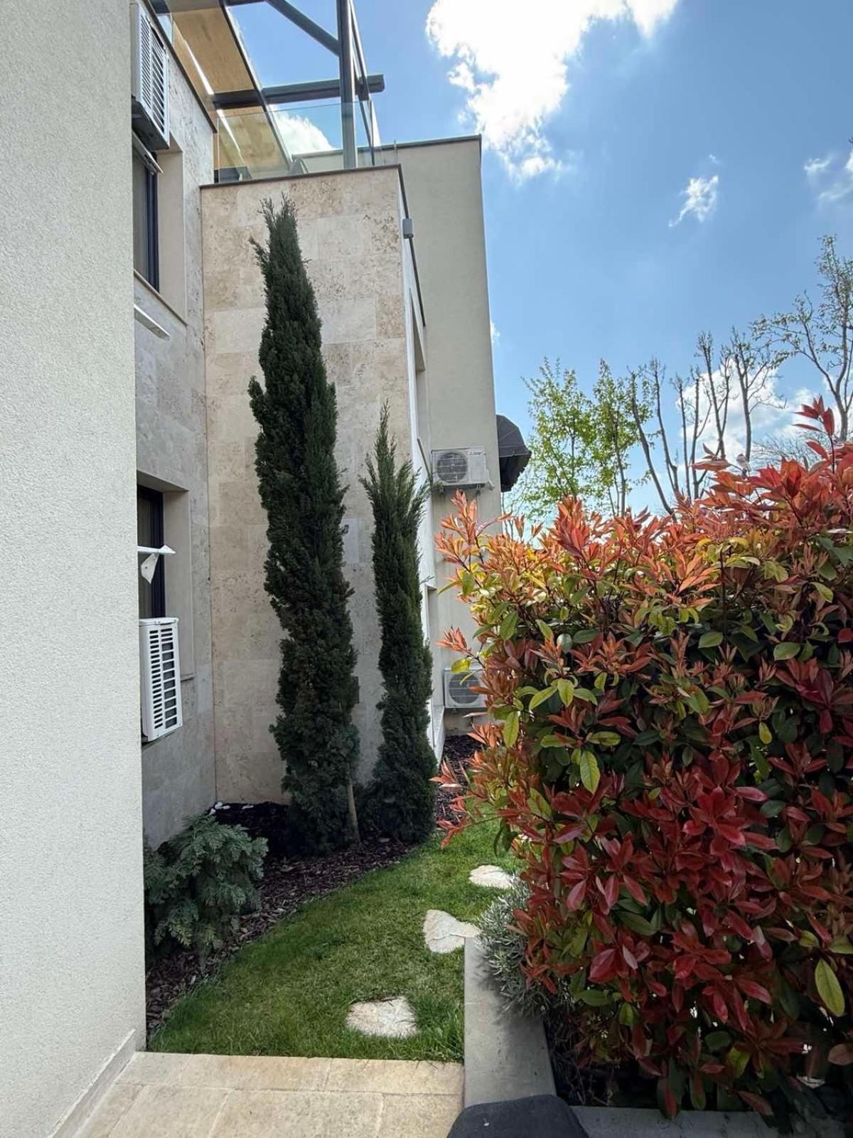 וארנה Buena Vista Villas מראה חיצוני תמונה